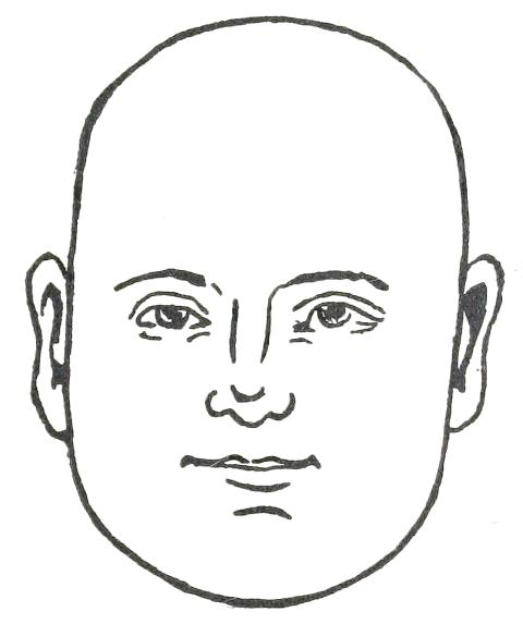 Fig. 13

OBLONG FACE