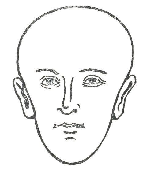 Fig. 14

PEAR-SHAPED FACE