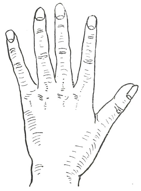 Fig. 25

ARTISTIC HAND