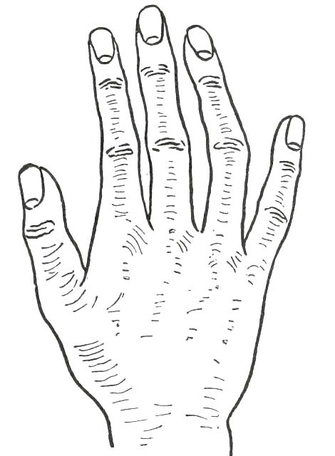 Fig. 27

PHILOSOPHIC HAND