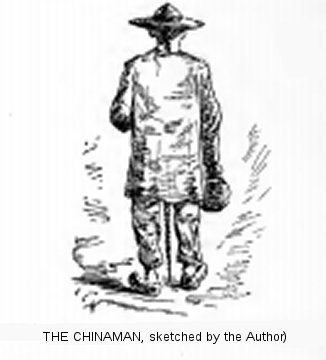 The Chinaman (from a sketch by the Author)