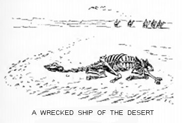 A Wrecked Ship of the Desert