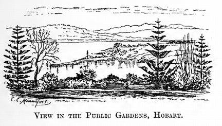 View in the Public Gardens, Hobart