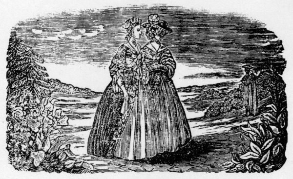 Emmeline and Lady Adelina surprised at the appearance
    of Fitz-Edward