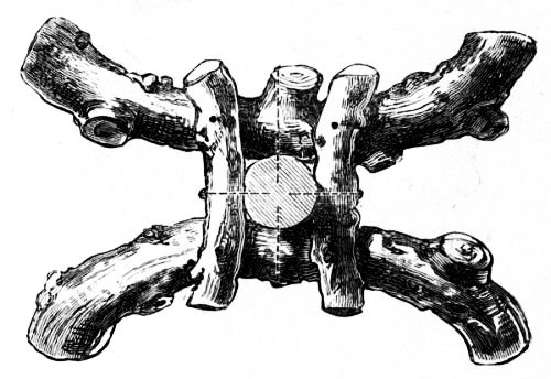Fig. 32.—Foot of Rustic Table.