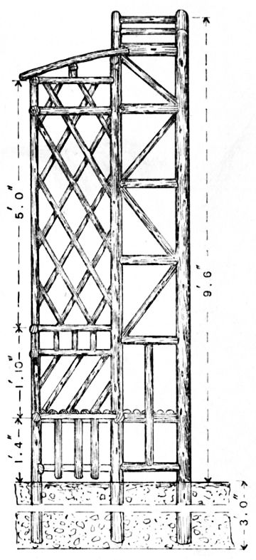Fig. 83.—Vertical Section of Trellis.