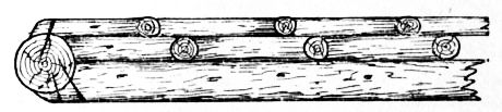 Fig. 84.—Section through End Post and Trellis.