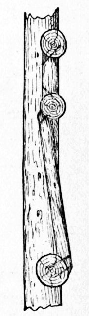 Fig. 85.—Detail of Back of Seat for Trellis.
