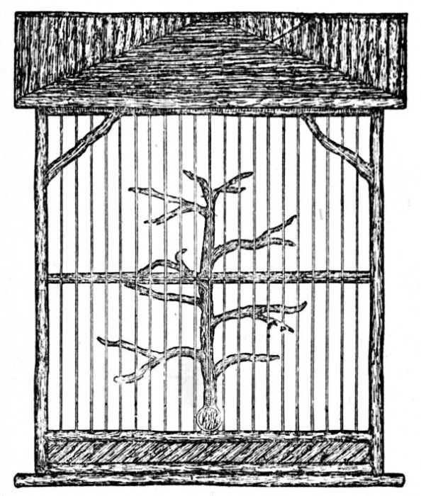 Fig. 112.—End Elevation of Aviary.