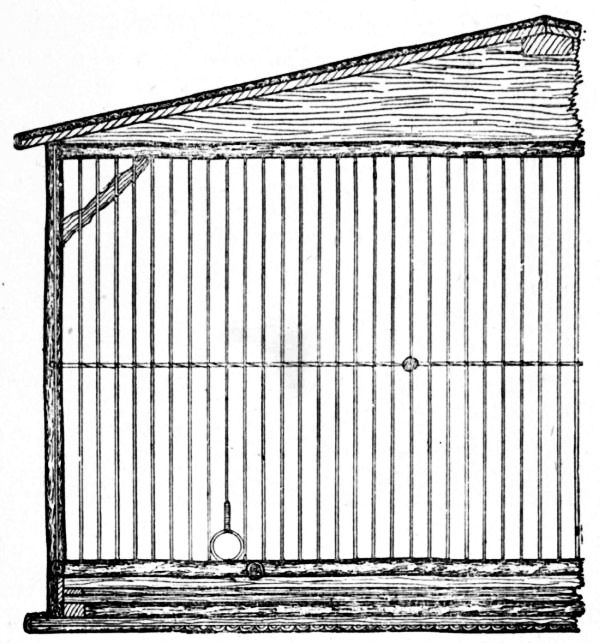 Fig. 119.—Part Longitudinal Section of Aviary.