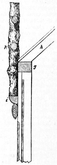 Fig. 136.—Side View of Top of Post for Glazed Verandah.