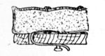 Fig. 171.—Strapping Cushion to Seat.