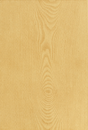 Plate 13. HEART OF LIGHT ASH, WIPED OUT, SHADED.