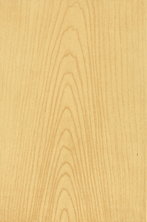 Plate 14. HEART OF ASH, DARK, PENCILLED.