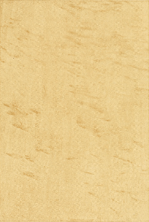 Plate 21. BIRD'S-EYE MAPLE, MOTTLED, READY FOR THE EYES.