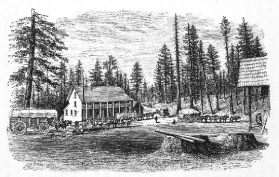 FRIDAY‘S STATION&mdash;VALLEY OF LAKE TAHOE.&mdash;P. 176.