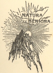 Decorative graphic, Natura Benigna