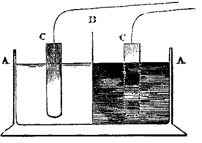 Fig. 185.