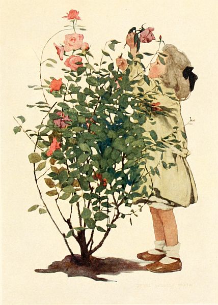 Girl picking roses