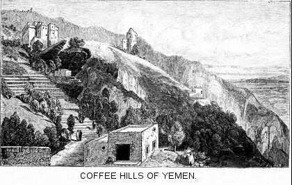 Coffee hills of Yemen