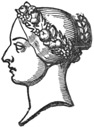Head of Woman