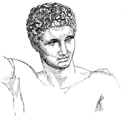 Fig. 228.—Head of the Hermes of Praxiteles.