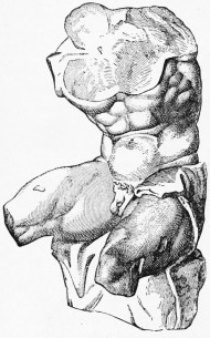 Fig. 243.—Belvedere Torso, by Apollonios. (In the
Vatican.)