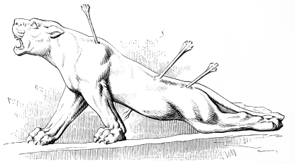 Fig. 73.&mdash;Wounded Lioness, from Coyundjic.