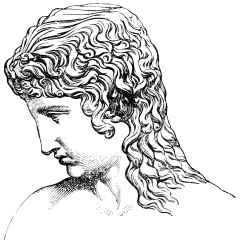 Fig. 226.&mdash;Head of Eros. (Vatican.)