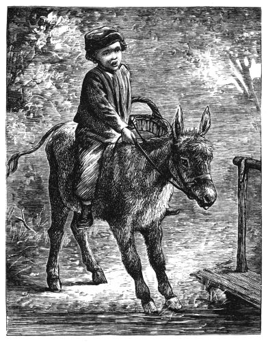Boy riding donkey