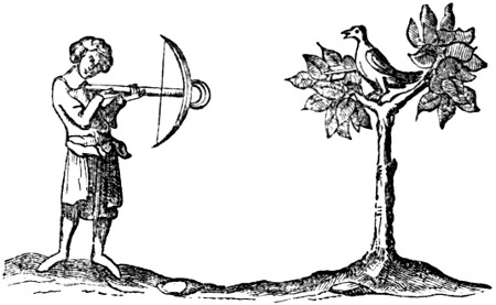 Shooting a bird with a cross-bow
