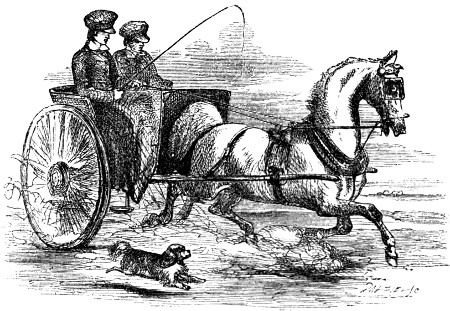 Two boys driving a horse drawn carriage