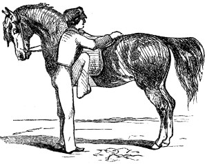 Boy mounting horse