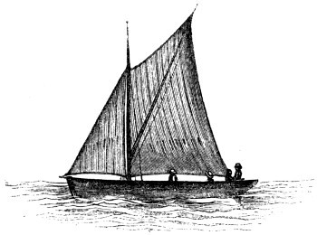 Suitable rig for young sailors