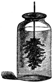 Drawing of silver- or lead-tree