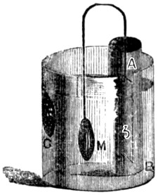 Electrotype apparatus