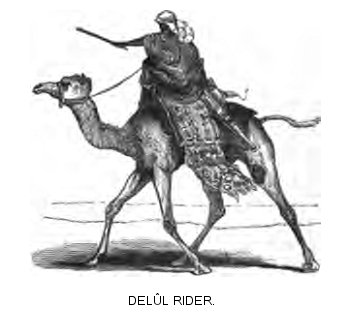 Delúl Rider