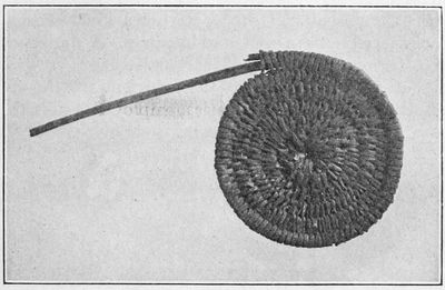 Fig. 2.—Coil of basket plaque.