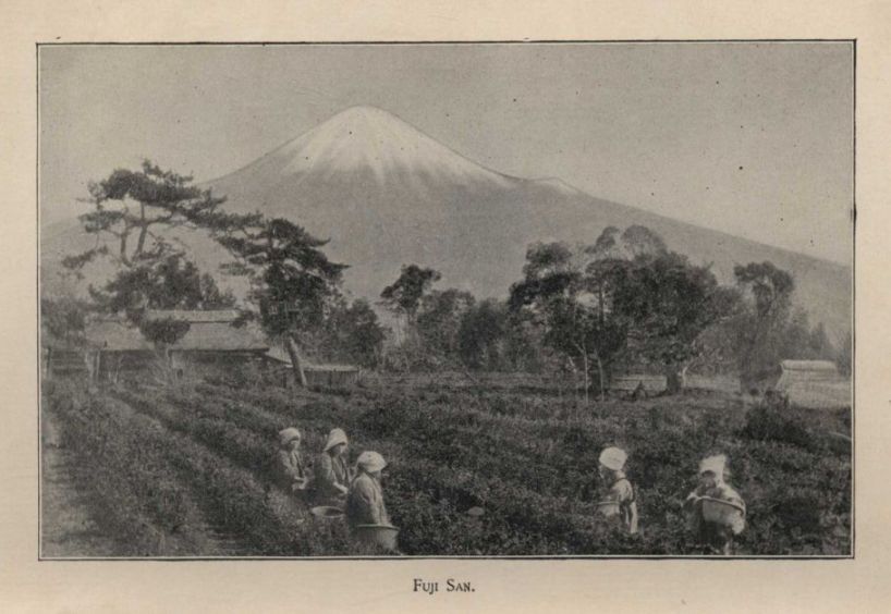 Fuji San.