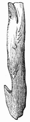 Harpoon of Reindeer Horn