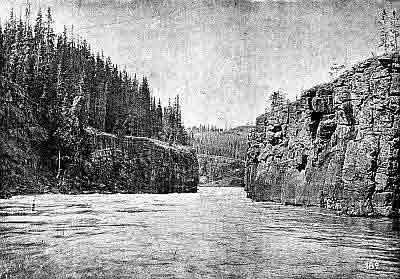 Swift current river winding through tall pillar rock cliffs topped with evergreens.