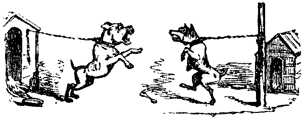 Two dogs tied to posts attempting to fight