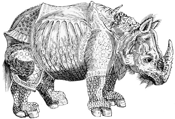 The Rhinoceros