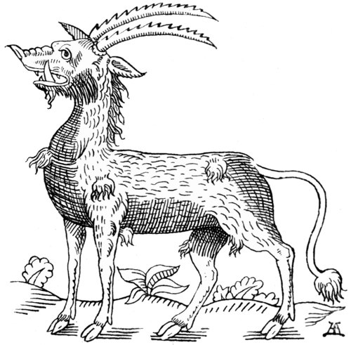 The Antelope