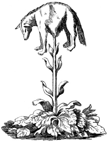 The Lamb-Tree