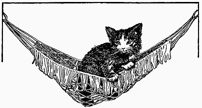 drawing of kitten in hammock