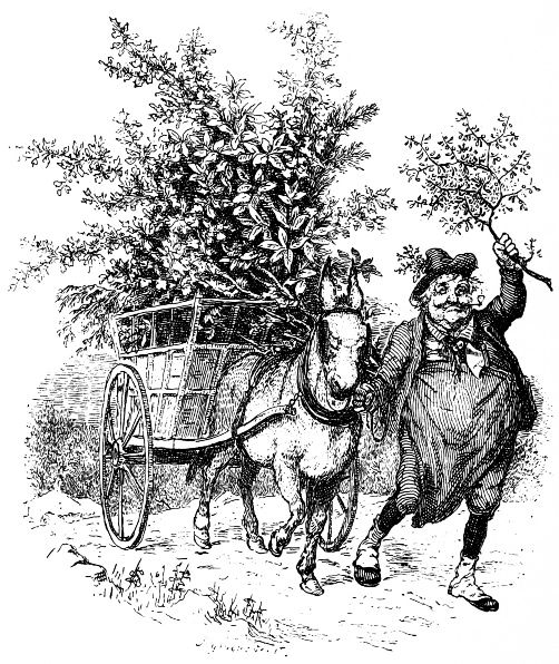 man leading a donkey cart with tree and branches on it