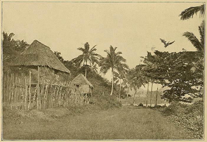 A Bamboo House in Pampanga Province.