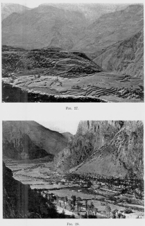 Fig. 27—Terraced valley slopes at Huaynacotas, Cotahuasi
Valley, Peru. Elevation 11,500 feet (3,500 m.).