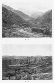 Fig. 129—Composition of slopes at Puquiura, Vilcabamba
Valley, elevation 9,000 feet (2,740 m.). The second prominent spur
entering the valley on the left has a flattish top unrelated to the rock
structure. Like the spurs on the right its blunt end and flat top
indicate an earlier erosion cycle at a lower elevation.